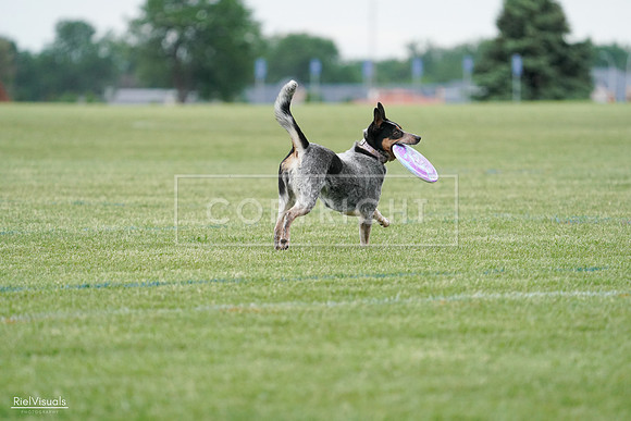 RielVisuals_20240525_170111_SJR05869
