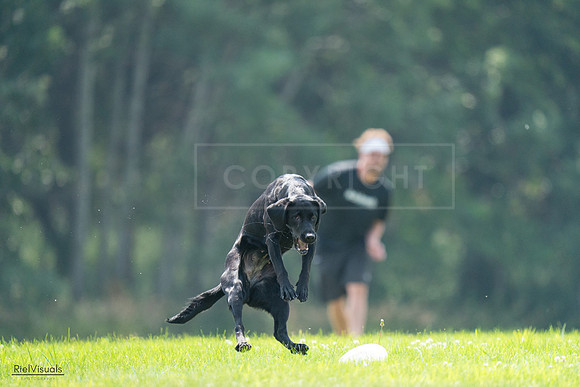RielVisuals_20240727_121805_SJR05257