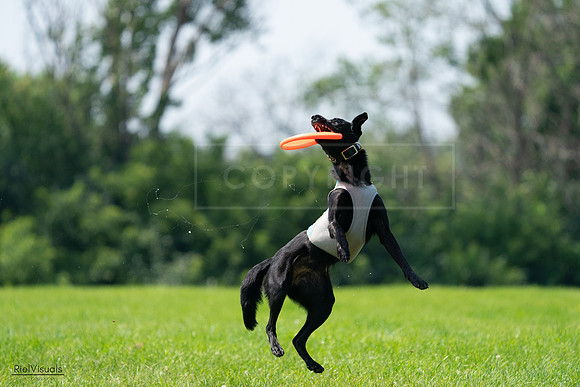 RielVisuals_20240728_114854_SJR02017