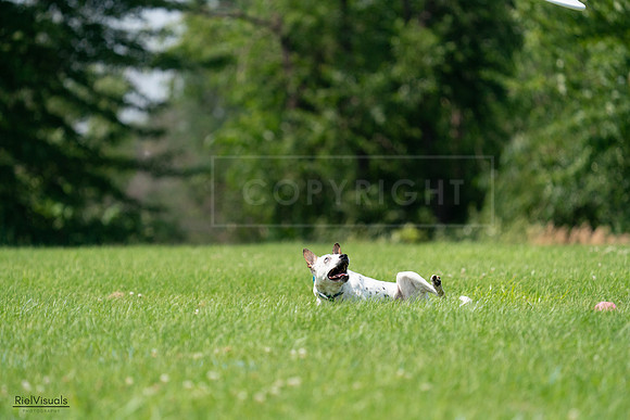 RielVisuals_20240727_134654_SJR08479