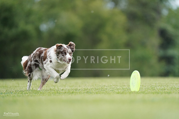 RielVisuals_20240525_161120_SJR03754