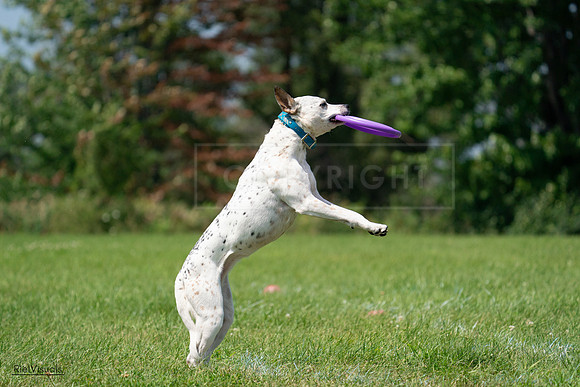 RielVisuals_20240728_120549_SJR02855