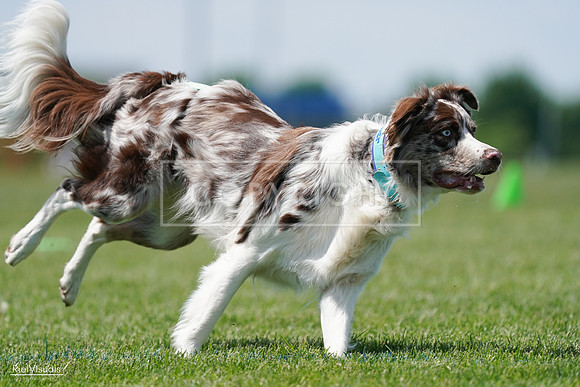 RielVisuals_20240525_120623_SJR08705