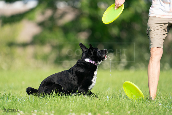 RielVisuals_20240727_094427_SJR07449