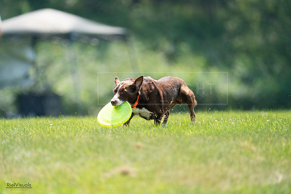 RielVisuals_20240727_123225_SJR05802