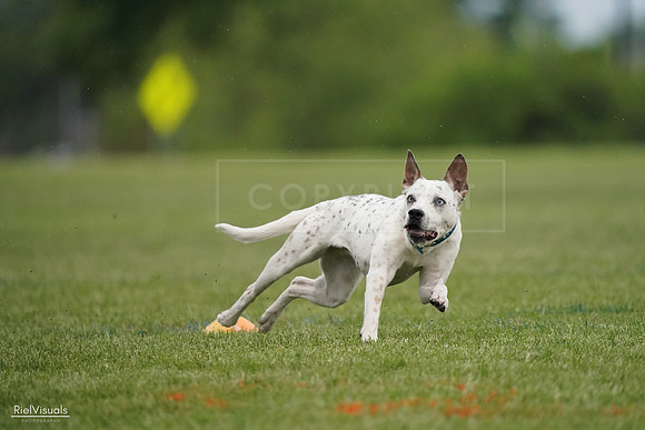 RielVisuals_20240526_090740_SJR09103
