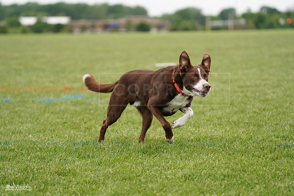 RielVisuals_20240526_131255_SJR07152