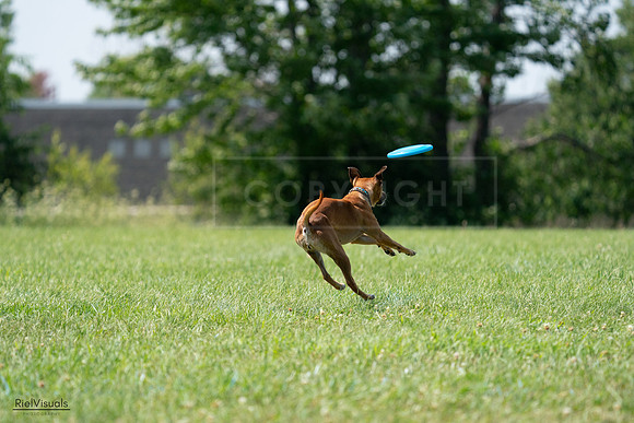 RielVisuals_20240728_150203_SJR09850