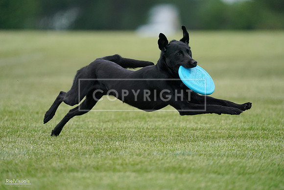 RielVisuals_20240525_170429_SJR05992