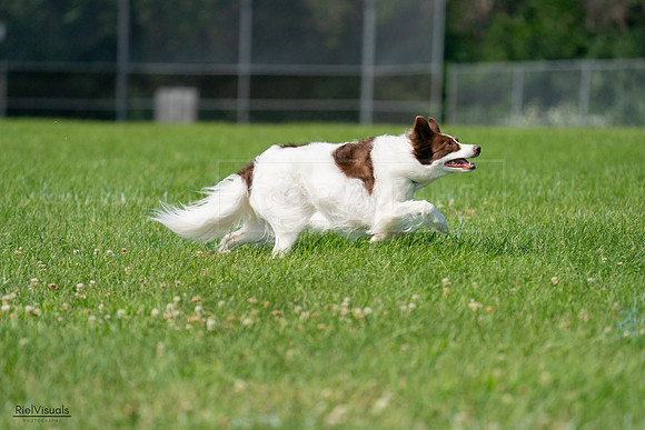 RielVisuals_20240728_102110_SJR07875