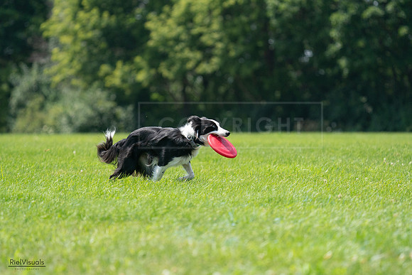 RielVisuals_20240728_130351_SJR04952