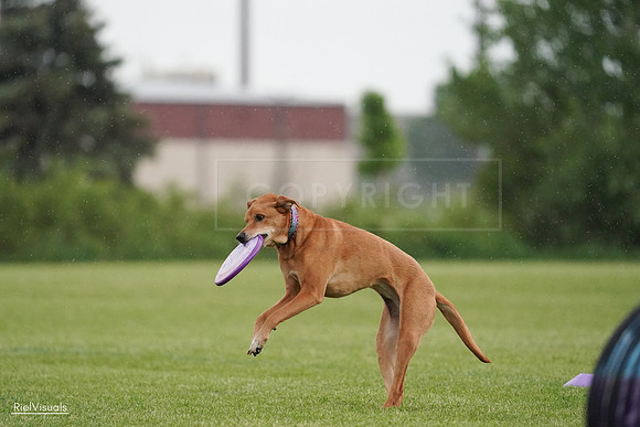 RielVisuals_20240526_093632_SJR00519