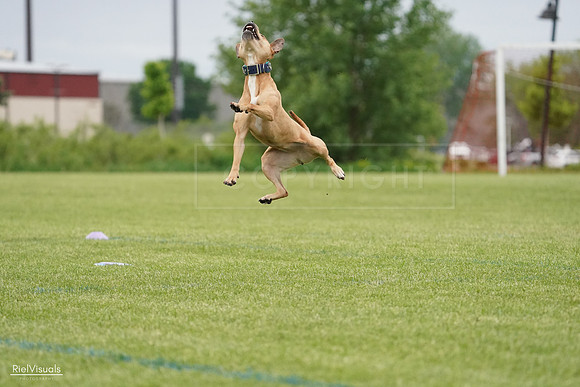 RielVisuals_20240526_131511_SJR07238
