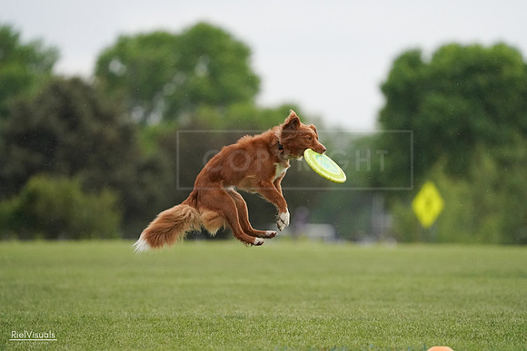 RielVisuals_20240526_093152_SJR00312