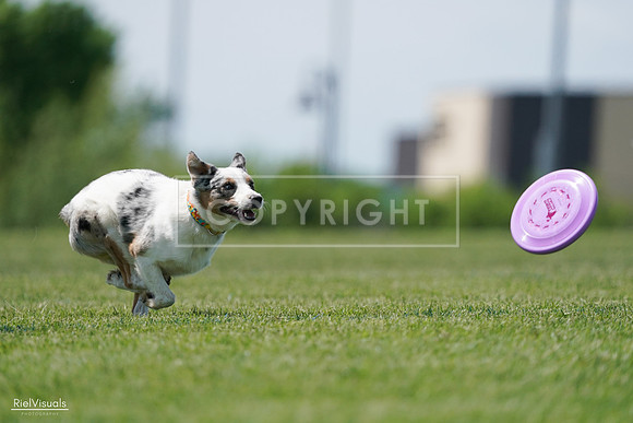 RielVisuals_20240525_121529_SJR09199