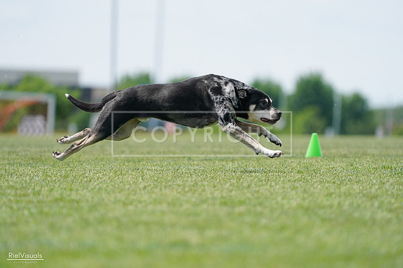 RielVisuals_20240525_123142_SJR00192