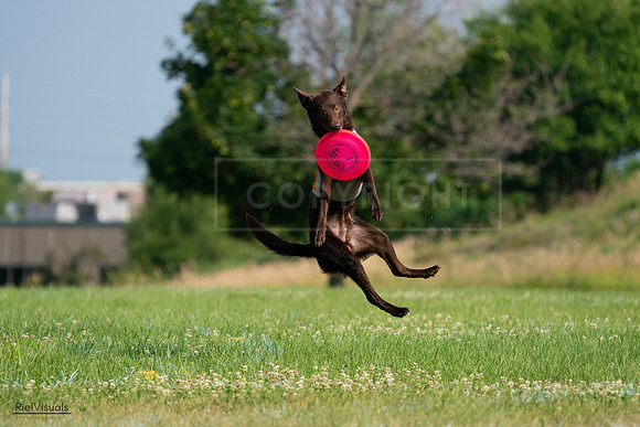 RielVisuals_20240727_092508_SJR06251
