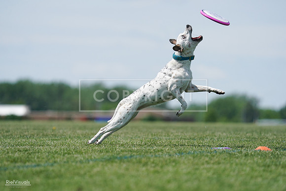 RielVisuals_20240525_120319_SJR08446