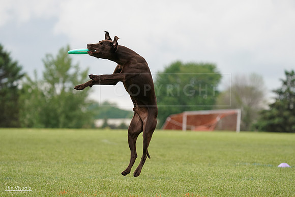 RielVisuals_20240527_132601_SJR09775