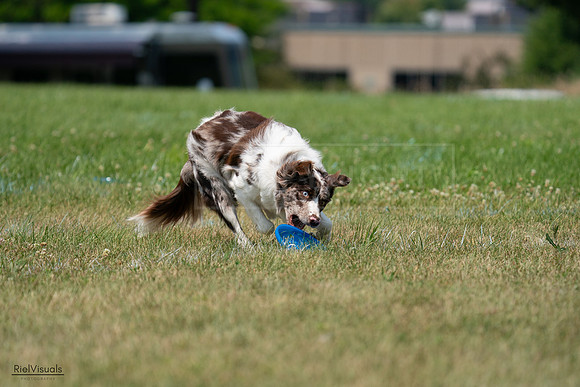 RielVisuals_20240727_133723_SJR07873