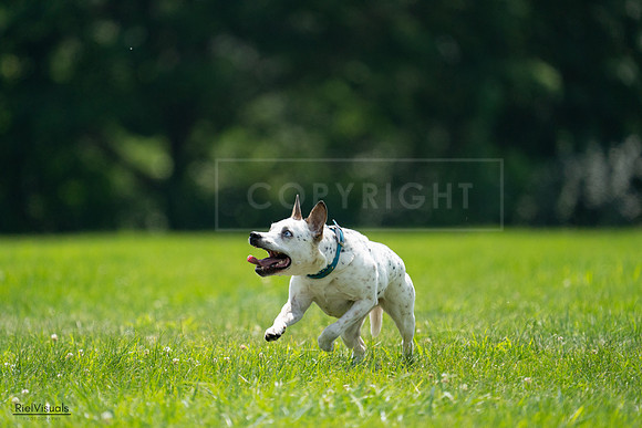 RielVisuals_20240728_140034_SJR07787