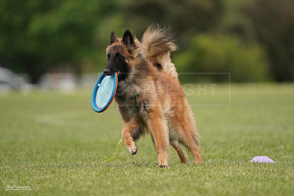 RielVisuals_20240526_134755_SJR09149