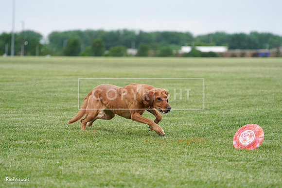 RielVisuals_20240525_165901_SJR05751