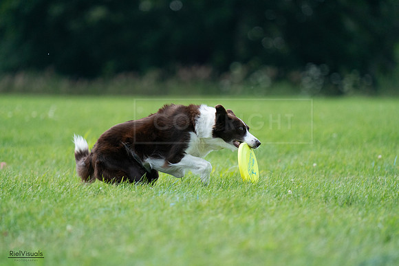 RielVisuals_20240728_140546_SJR08020