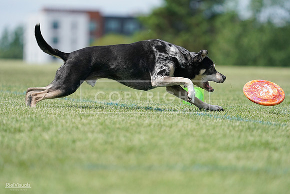 RielVisuals_20240525_123145_SJR00250