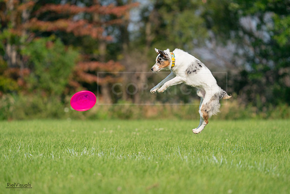 RielVisuals_20240727_092207_SJR05989