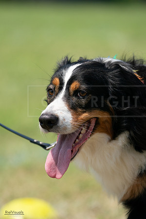 RielVisuals_20240728_133143_SJR06453