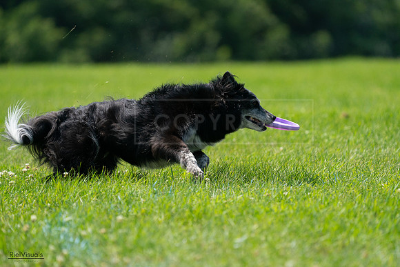 RielVisuals_20240728_122208_SJR03729