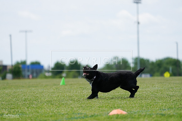 RielVisuals_20240525_124946_SJR01303
