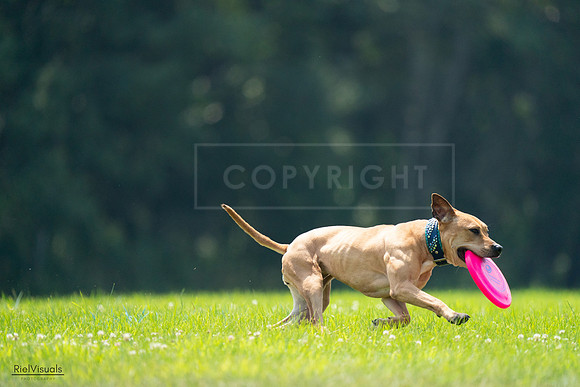 RielVisuals_20240727_121938_SJR05351