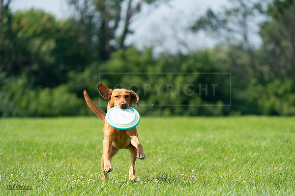 RielVisuals_20240728_104001_SJR08819