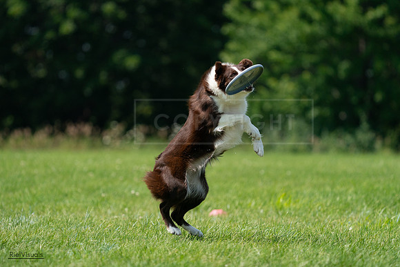 RielVisuals_20240728_121012_SJR03180