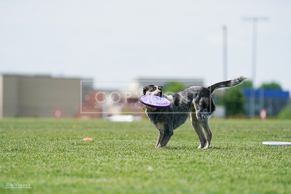 RielVisuals_20240525_122322_SJR09705