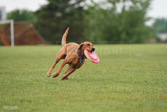 RielVisuals_20240527_113513_SJR03936