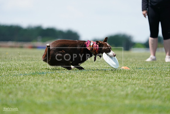 RielVisuals_20240525_121924_SJR09455
