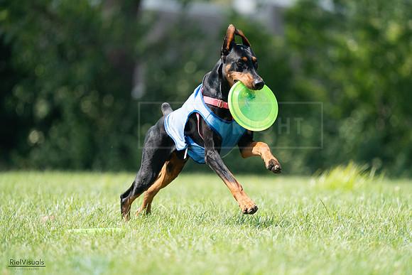 RielVisuals_20240728_151253_SJR00309