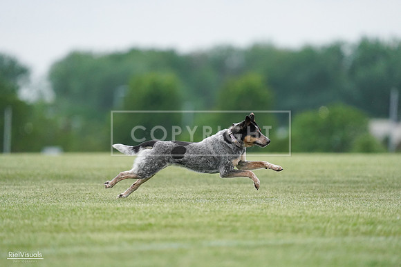 RielVisuals_20240525_170043_SJR05789