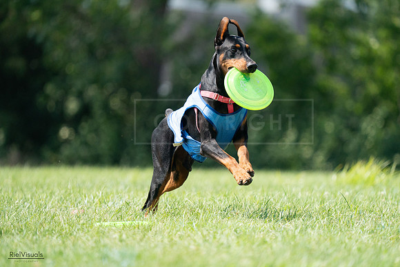 RielVisuals_20240728_151253_SJR00308