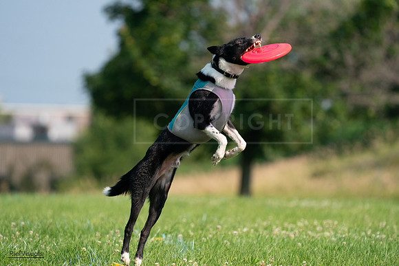 RielVisuals_20240727_094153_SJR07264