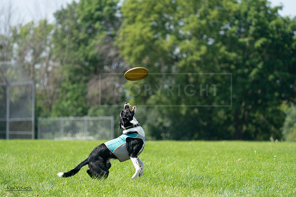 RielVisuals_20240728_115802_SJR02568