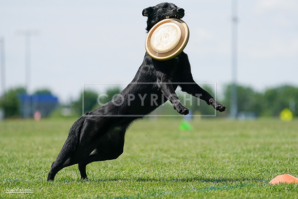 RielVisuals_20240525_122603_SJR09890