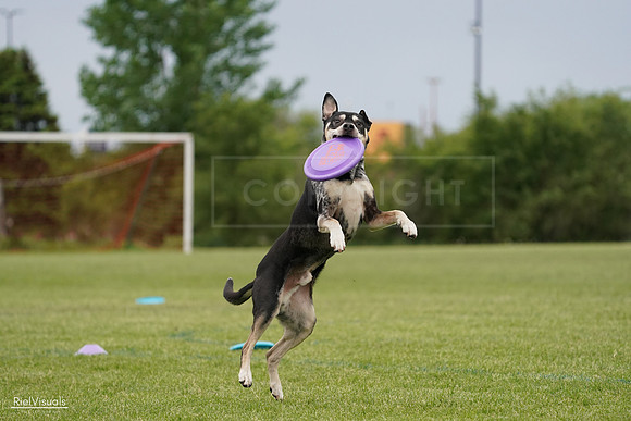 RielVisuals_20240526_134441_SJR08955
