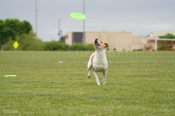 RielVisuals_20240526_134103_SJR08681