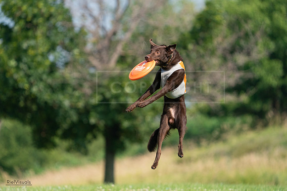 RielVisuals_20240728_095926_SJR06915