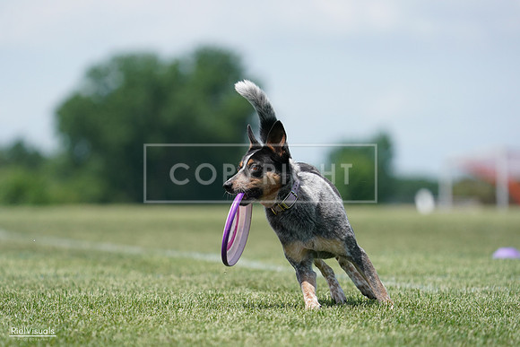 RielVisuals_20240525_122240_SJR09632