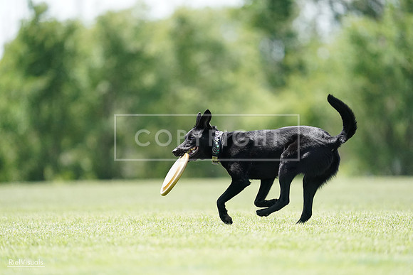 RielVisuals_20240525_122510_SJR09798